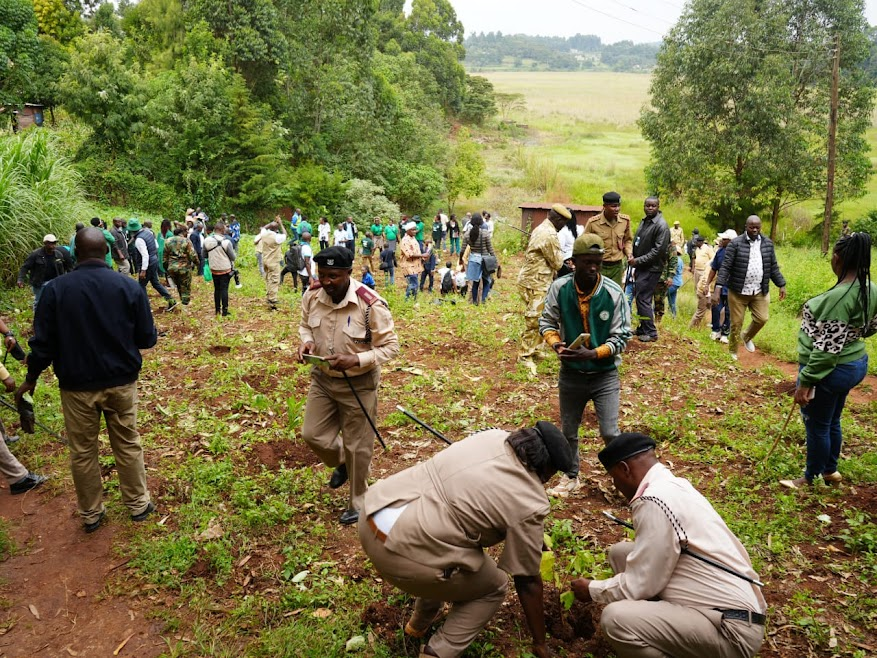 Tree planting session by CEFRO Members, government officials and other organizations at Ondiri Wetland during the World Wetland Day on February 2nd, 2025